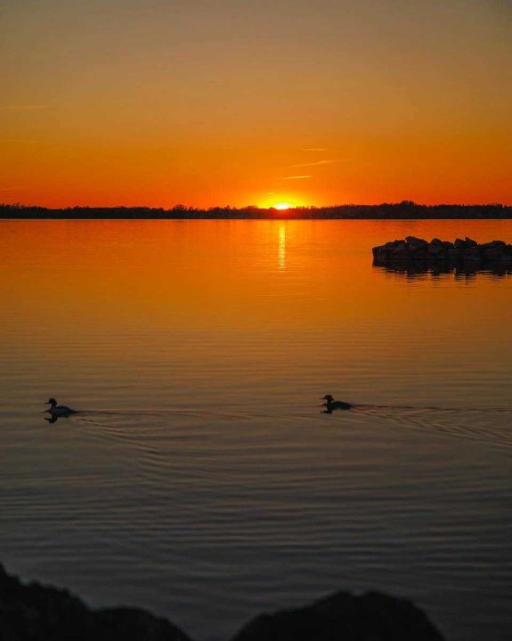754159959 1336088788238441 2181963258570802354 n